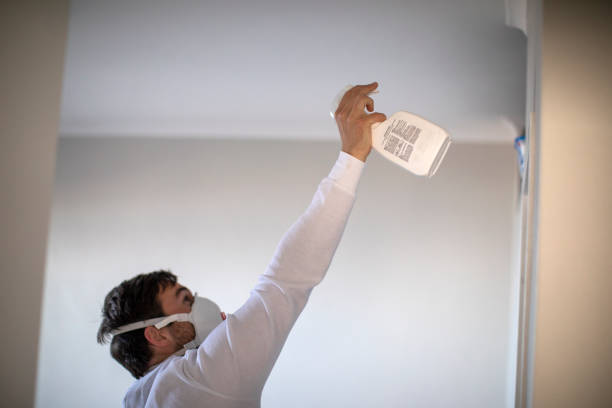 Best Affordable Mold Removal  in Daleville, VA