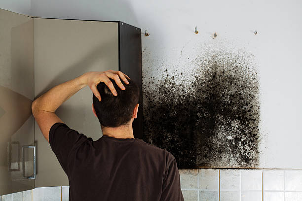 Mold Testing and Removal in Daleville, VA